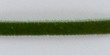 ΚΟΡΔΟΝΙ ΣΟΥΕΤ G — χρώμα d.green